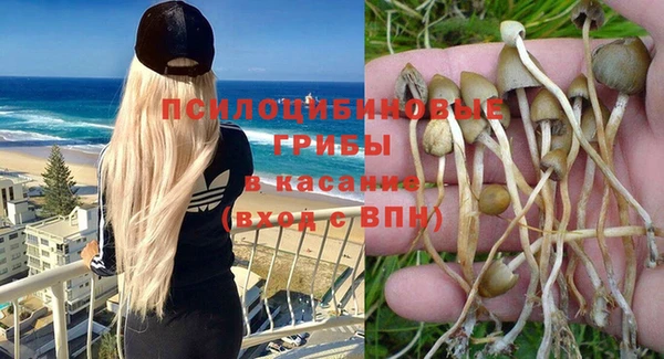 бутират Заводоуковск