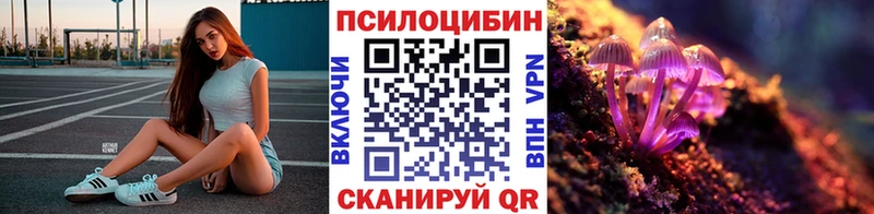 Купить закладки  Свободный  Псилоцибиновые грибы Psilocybe 